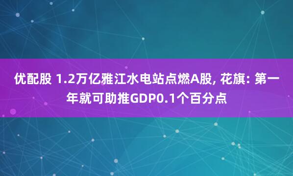 优配股 1.2万亿雅江水电站点燃A股, 花旗: 第一年就可助推GDP0.1个百分点
