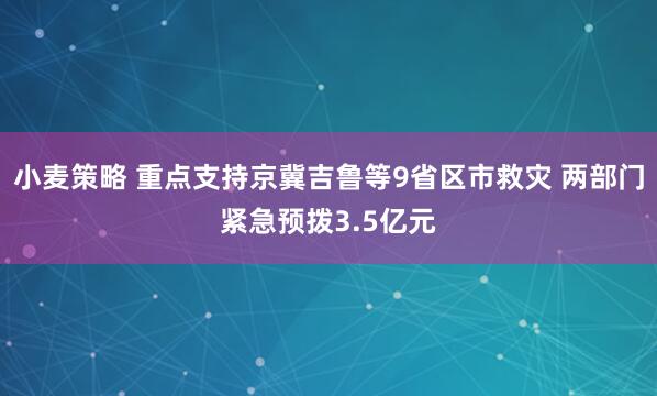 小麦策略 重点支持京冀吉鲁等9省区市救灾 两部门紧急预拨3.5亿元