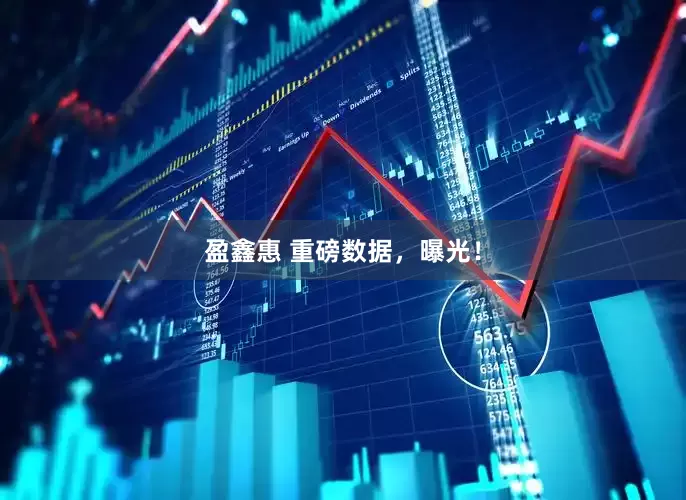 盈鑫惠 重磅数据，曝光！