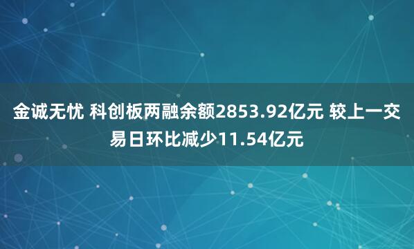 金诚无忧 科创板两融余额2853.92亿元 较上一交易日环比减少11.54亿元